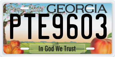 GA license plate PTE9603