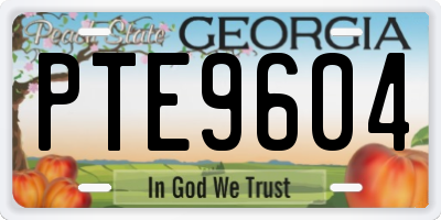 GA license plate PTE9604