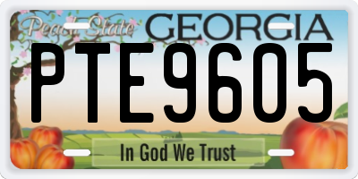 GA license plate PTE9605