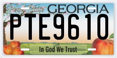 GA license plate PTE9610