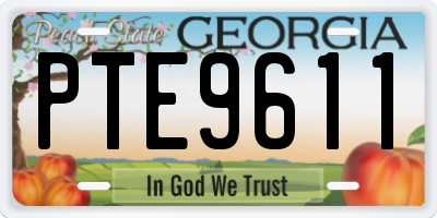 GA license plate PTE9611
