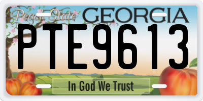 GA license plate PTE9613