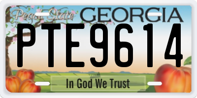 GA license plate PTE9614