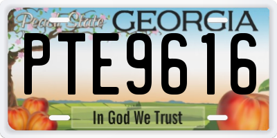 GA license plate PTE9616