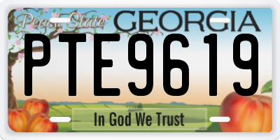 GA license plate PTE9619