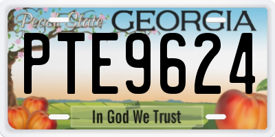 GA license plate PTE9624