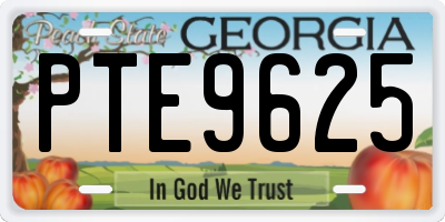 GA license plate PTE9625