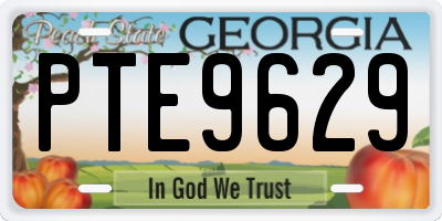GA license plate PTE9629
