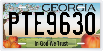 GA license plate PTE9630
