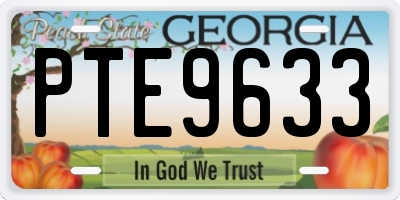 GA license plate PTE9633