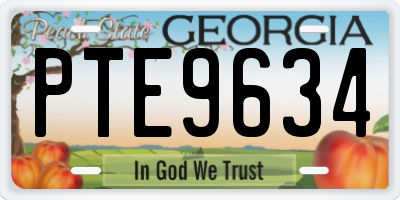 GA license plate PTE9634