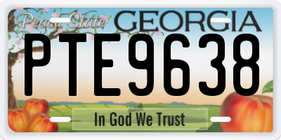 GA license plate PTE9638
