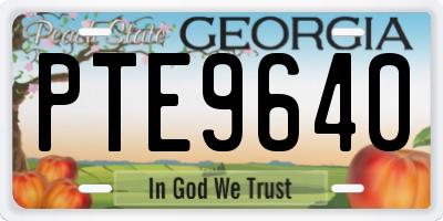 GA license plate PTE9640