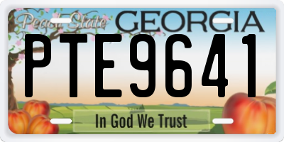 GA license plate PTE9641