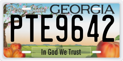 GA license plate PTE9642