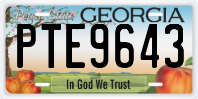 GA license plate PTE9643