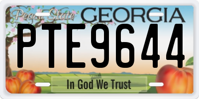 GA license plate PTE9644
