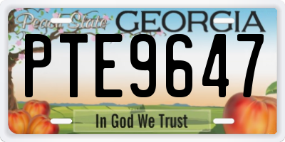 GA license plate PTE9647