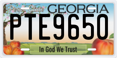 GA license plate PTE9650