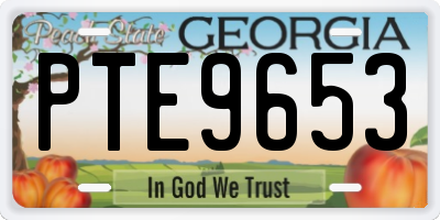 GA license plate PTE9653