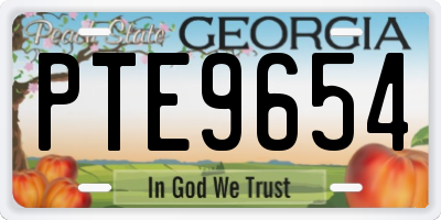 GA license plate PTE9654