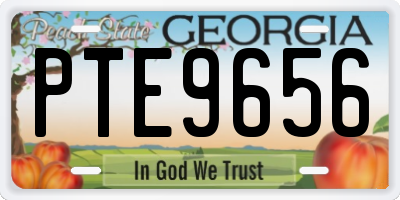 GA license plate PTE9656