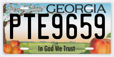GA license plate PTE9659