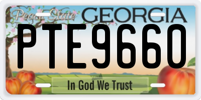 GA license plate PTE9660
