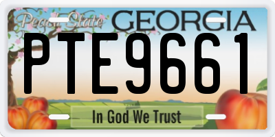 GA license plate PTE9661
