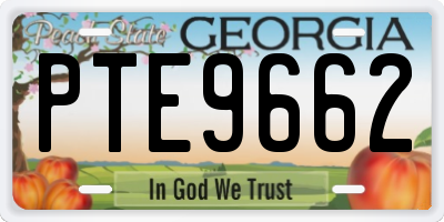 GA license plate PTE9662