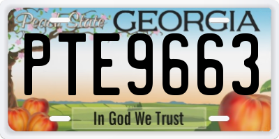 GA license plate PTE9663