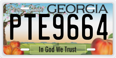 GA license plate PTE9664