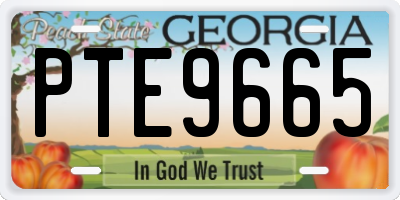 GA license plate PTE9665