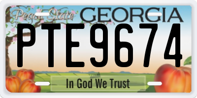 GA license plate PTE9674