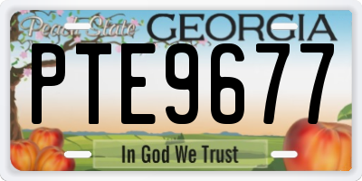 GA license plate PTE9677
