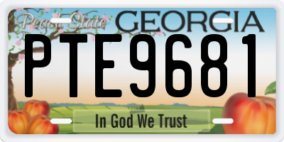 GA license plate PTE9681