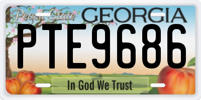 GA license plate PTE9686