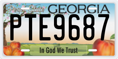 GA license plate PTE9687