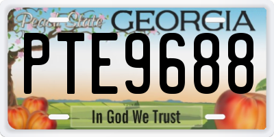 GA license plate PTE9688