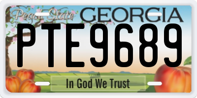 GA license plate PTE9689