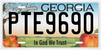 GA license plate PTE9690