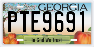 GA license plate PTE9691
