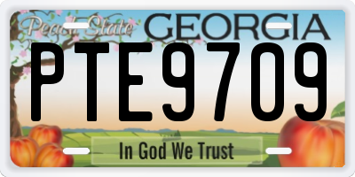 GA license plate PTE9709
