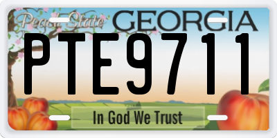 GA license plate PTE9711