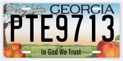 GA license plate PTE9713