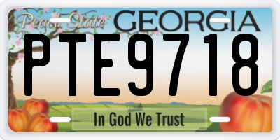 GA license plate PTE9718
