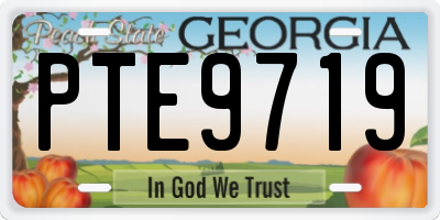 GA license plate PTE9719