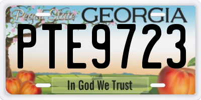 GA license plate PTE9723