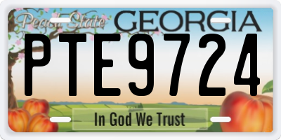 GA license plate PTE9724