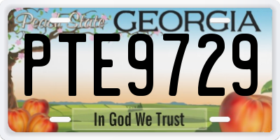 GA license plate PTE9729